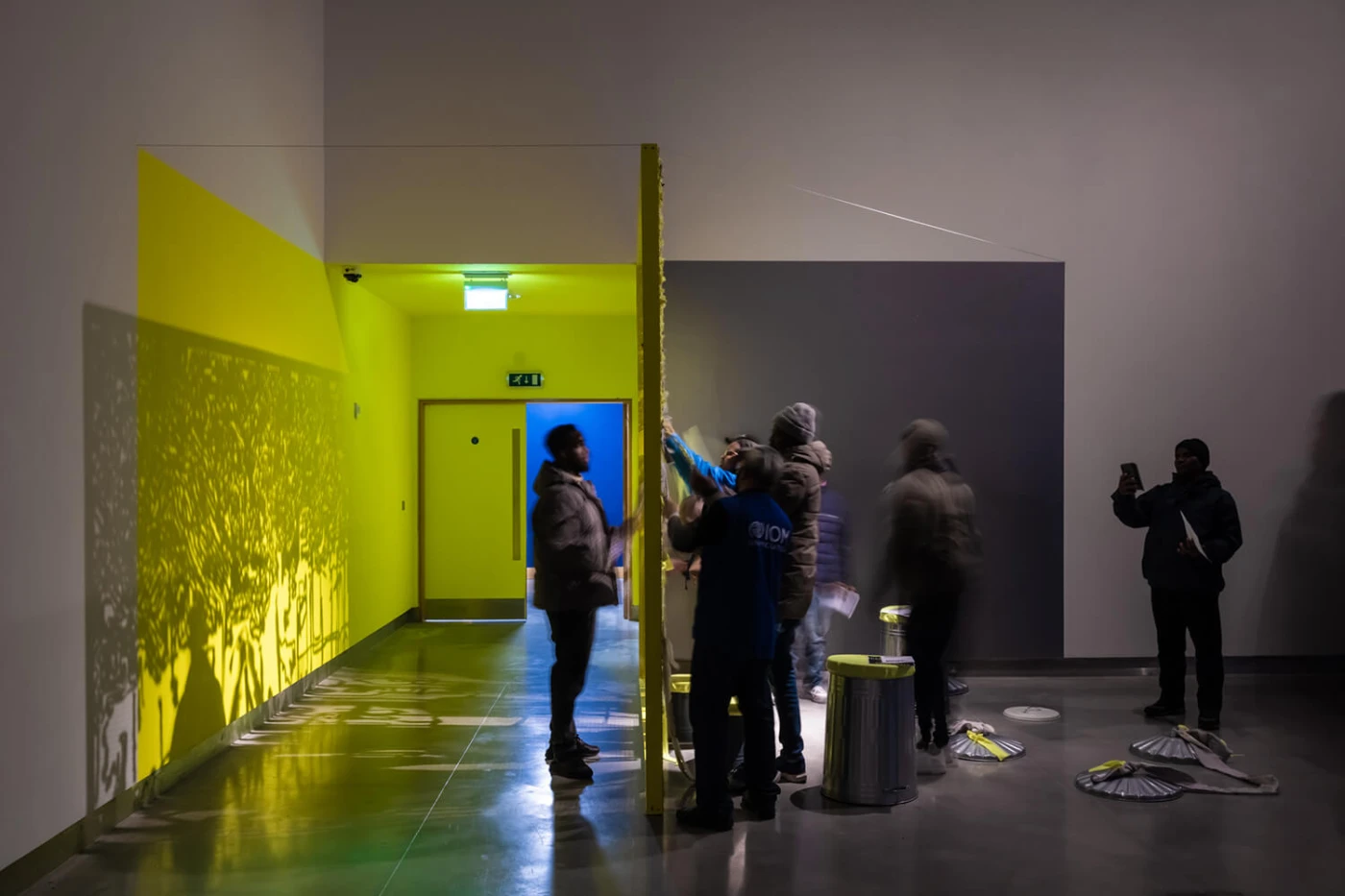 The Goose and the Common—Array Collective