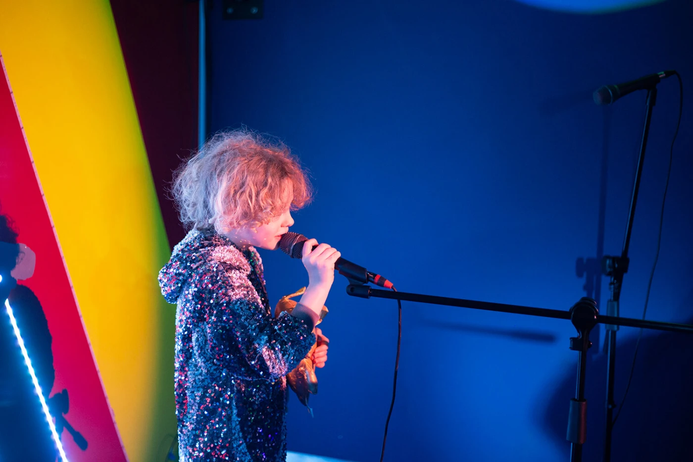 The Goose and the Common—Array Collective