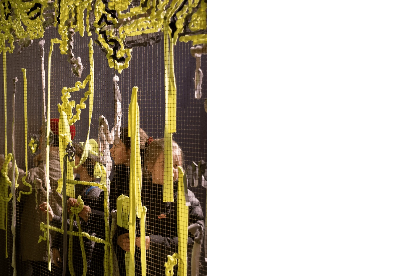 The Goose and the Common—Array Collective