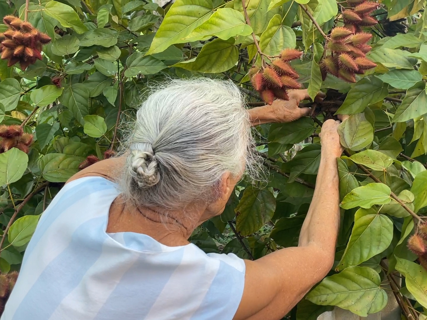 AN CUÍNAS/THE SILENCE—Marianne Keating
