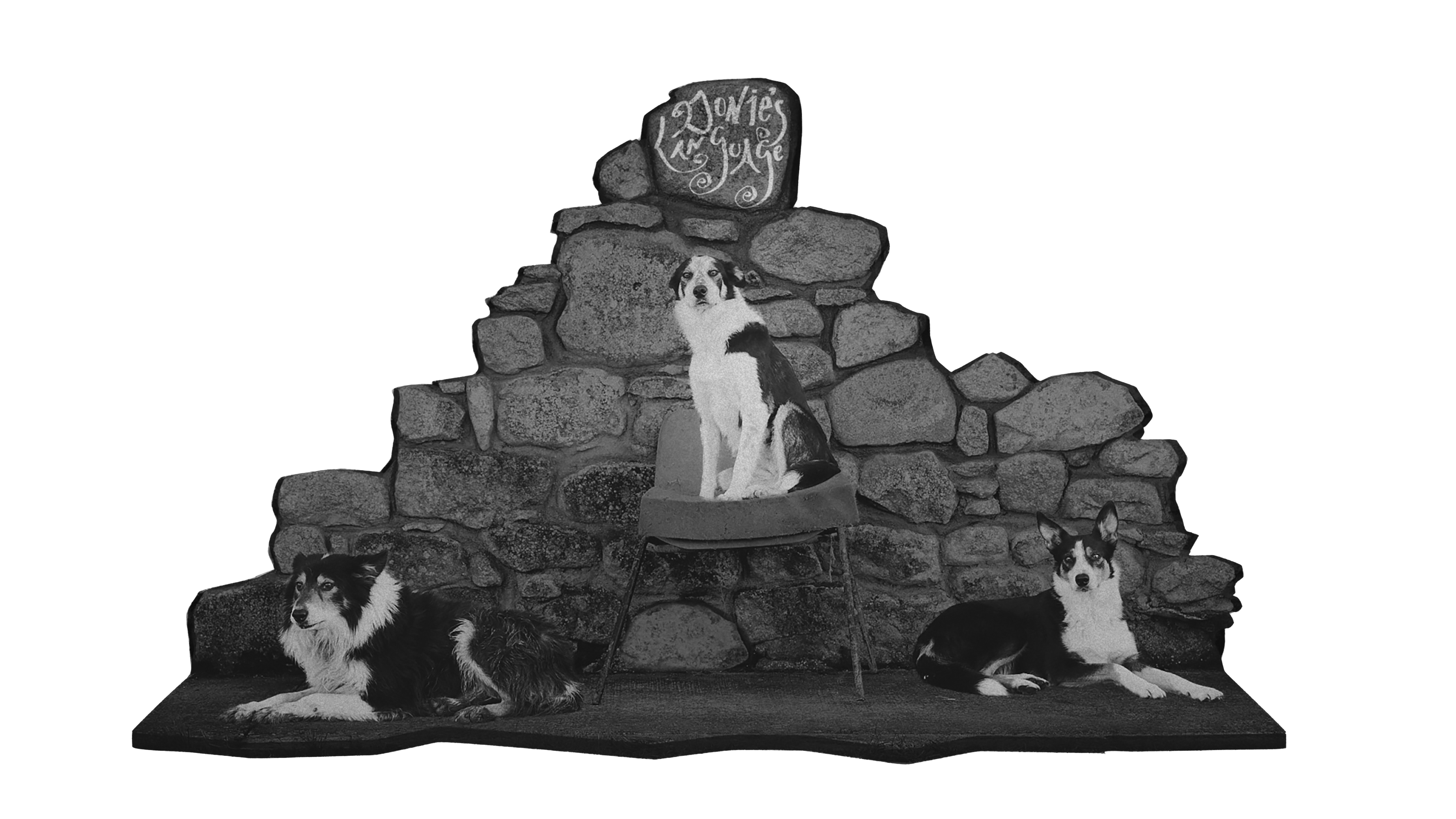 Donie's Language, Orla Barry.