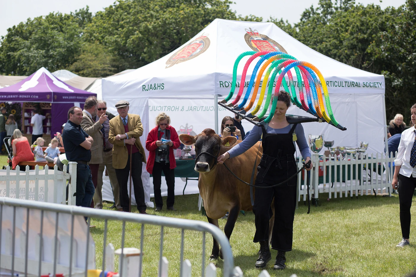 ‘Cattle and Capital’ (2019) — Maria McKinney, live sculptural performance, RJA&HS Cattle Competition