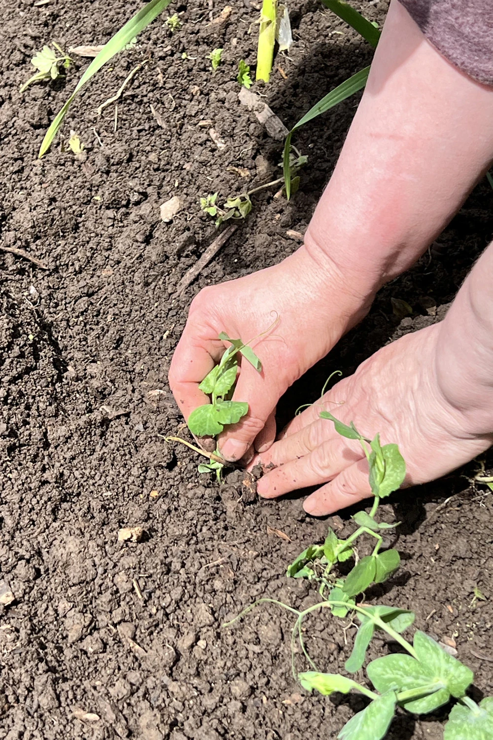 Along the Camac (2025)