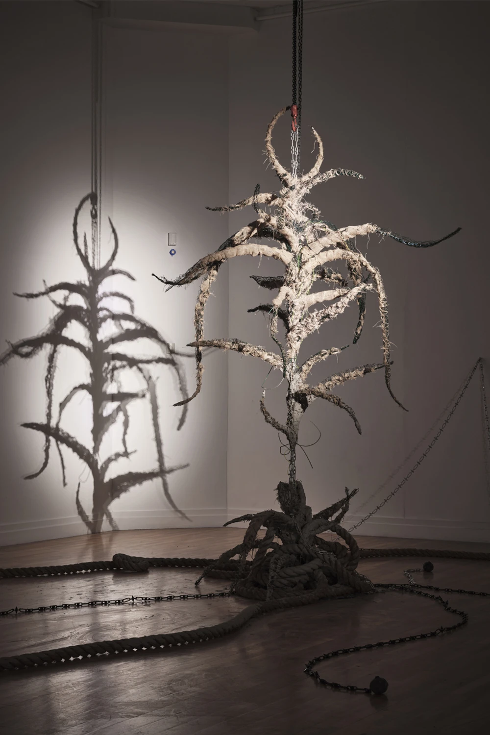 She grew the tree plant, she grew the plant, she grew the primeval mother: The plants of lamentation have sprouted, (2023) — Cecilia Bullo. Photo by: Ros Kavanagh and courtesy the artist and RHA Gallery