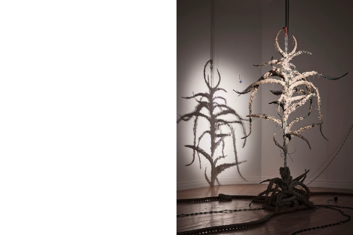 She grew the tree plant, she grew the plant, she grew the primeval mother: The plants of lamentation have sprouted, (2023) — Cecilia Bullo. Photo by: Ros Kavanagh and courtesy the artist and RHA Gallery